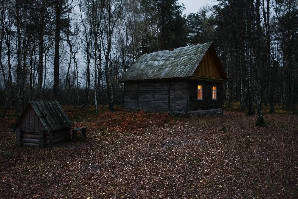 Лесная сторожка. Дом лесника в лесу в России заброшенные. Чернобыль сторожка. Изба в лесу.