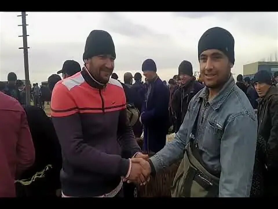 Qamashi mol bozori 2022. Камаши пагода. Кашкадарё камаши тумани. Кашкадарйо камаши. Об хаво кашкадаре камаши кизилтепа.