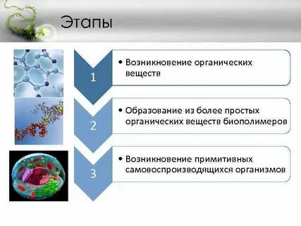 Организмы образующие органические вещества и неорганические