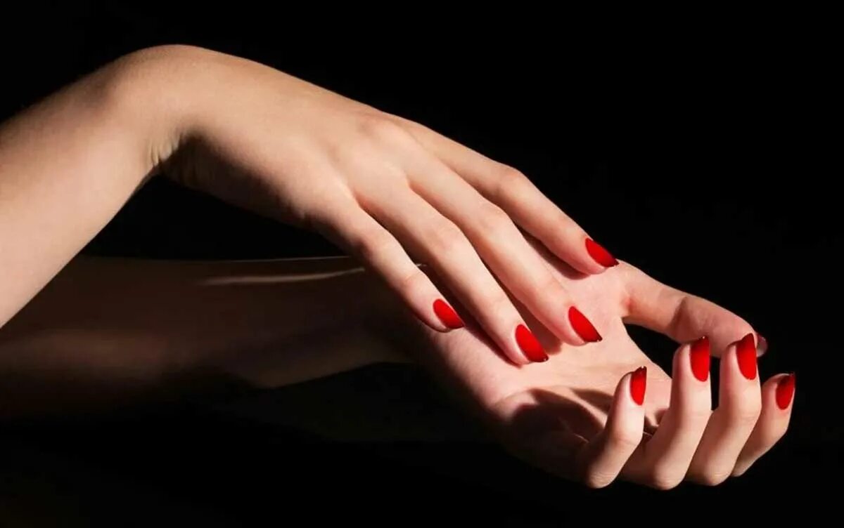 Gentle Touch Изображения: просматривайте стоковые фотографии, векторные изображе