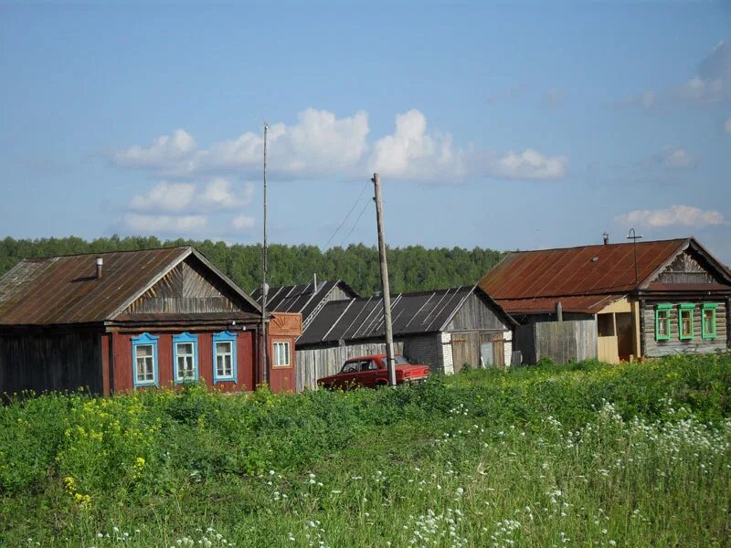 Дома в деревне в пензенской области