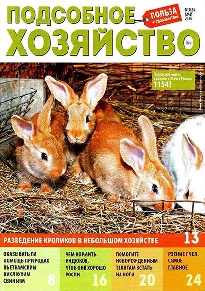 приусадебное хозяйство журнал 2022. охота и охотничье хозяйство 1987. приусадебное хозяйство журнал. обложки журнала приусадебное хозяйство. журнал подсобное хозяйство читать.