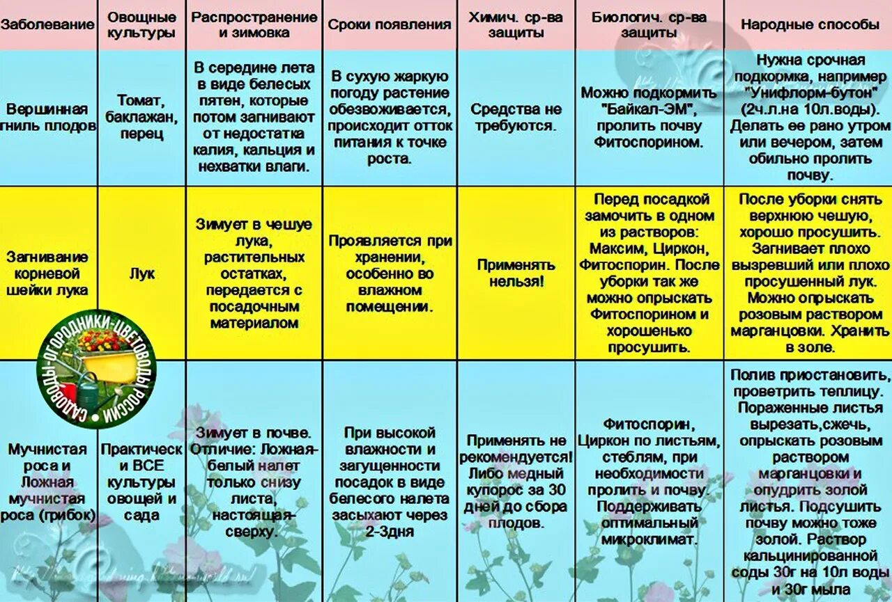 Заболевание овощей и фруктов. Болезни овощных культур таблица. Заболевание овощей таблица. Дефекты и болезни плодов. Болезни плодов и овощей таблица.