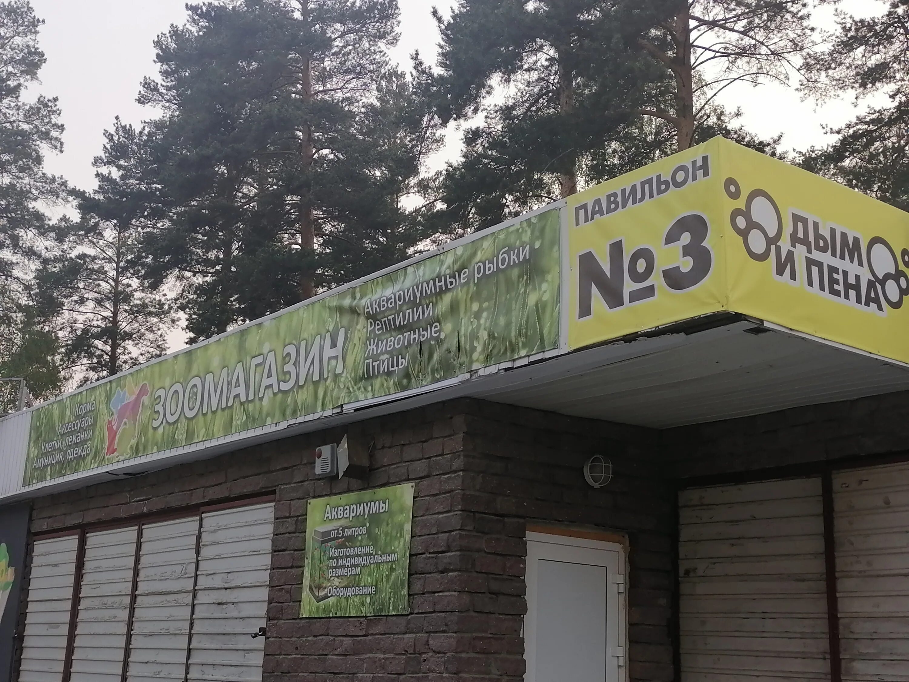 снежинск улица ленина. снежинск зоомагазин солнечный. ломинского, 1, снежинск. снежинск улица ленина 22. ул ленина 30 снежинск.