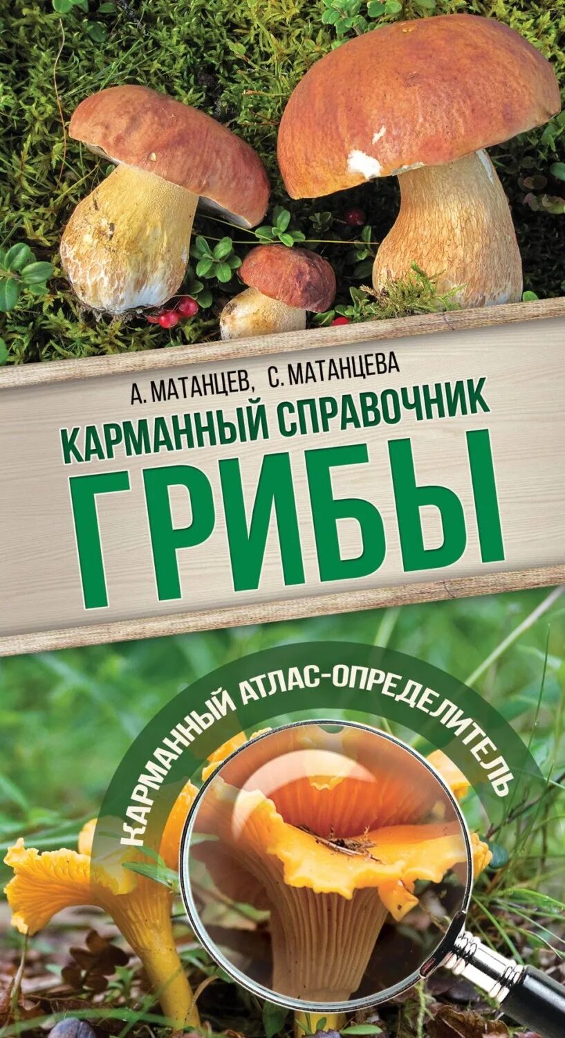 Грибы. Справочник-определитель Матанцев а., Матанцева с.. Атлас грибы Матанцева. Атлас определитель грибы двойники. Карманный справочник грибов.