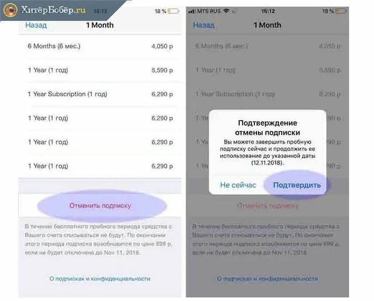 Купить подписку можно приложение. Подписка в приложении. Как отменить покупку в аппсторе. Тг подписка. Как отменить подписку в тг.