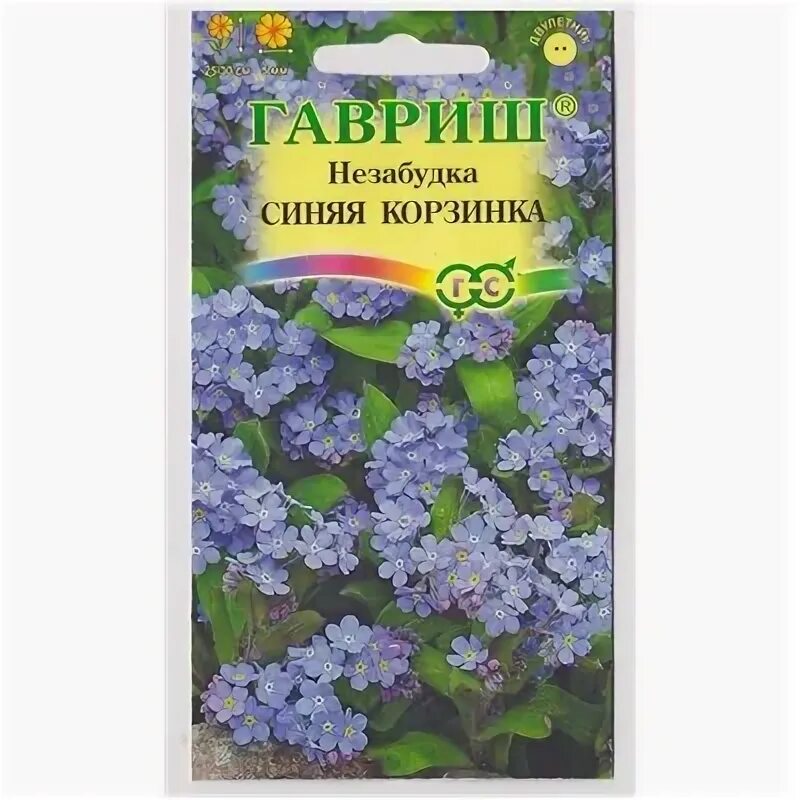 Семена незабудки. Незабудка цветок семена. Гавриш незабудка. Семена цветов незабудки. Незабудка альпийская голубая семена алтая.