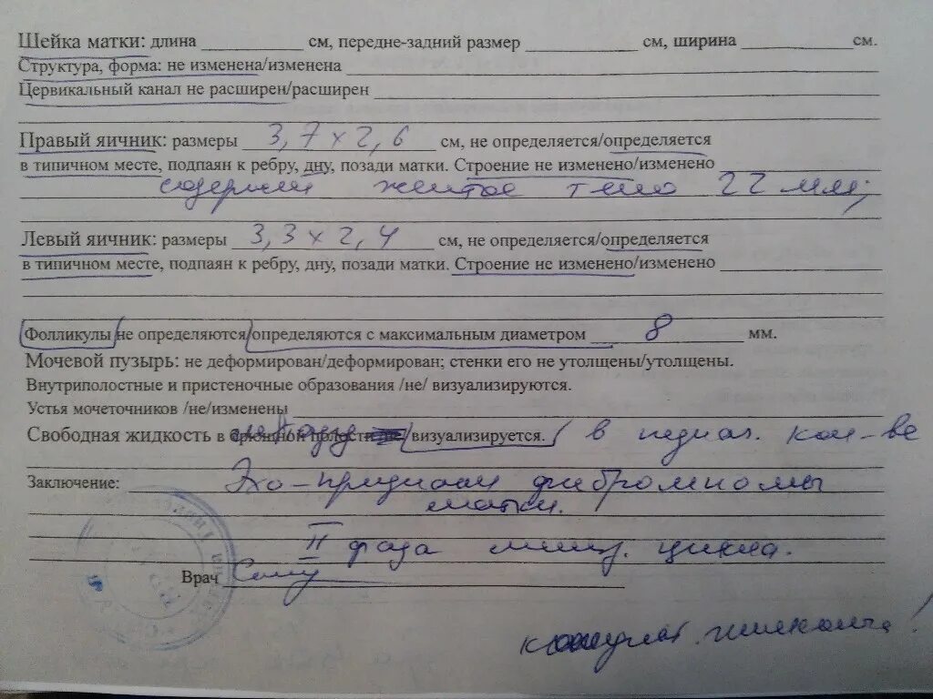 Заключение гинеколога. Протокол УЗИ матки и придатков. УЗИ малого таза у женщин заключение. Протокол УЗИ малого таза у женщин. Матка увеличена причины при осмотре у гинеколога