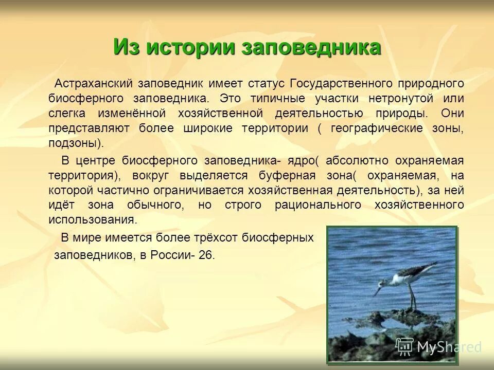 астраханский как пишется. проект про город астрахань. астраханский как пишется. астраханский как пишется. рассказ о заповеднике.
