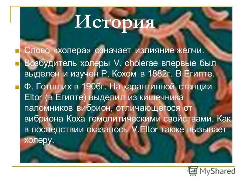 Симптомы лечение болезни холеры. Сообщение о болезни холера. Холера эпидемиология презентация.