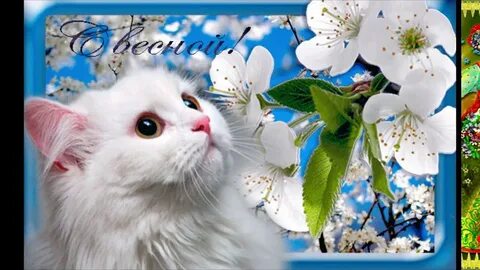 С днем весны гифки