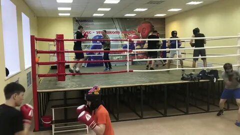 Секции балаково для детей