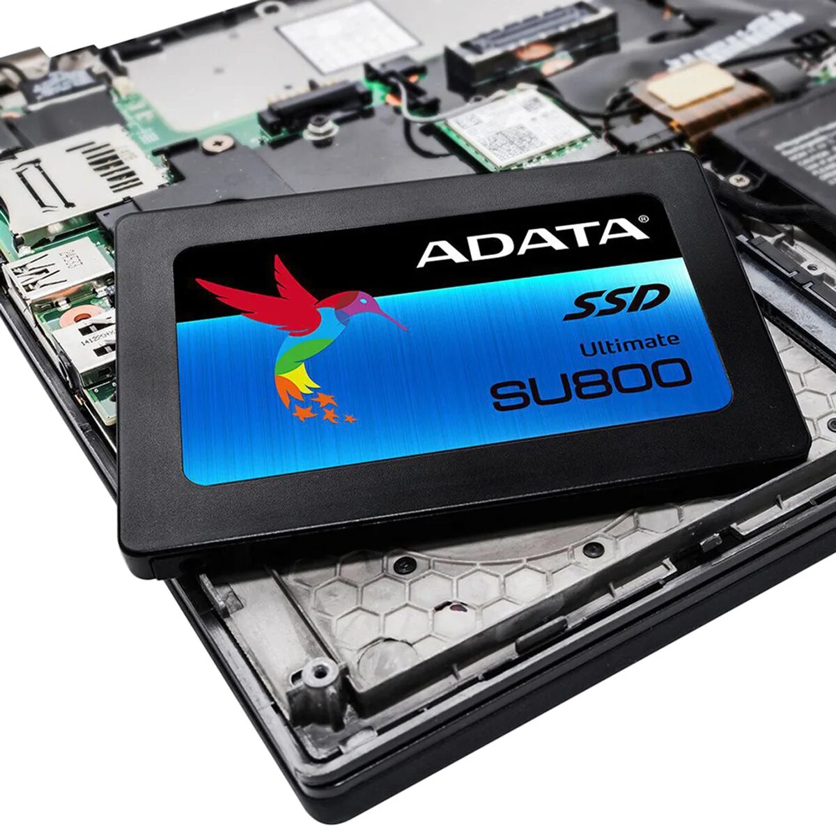 Adata ultimate su800. SSD накопитель 1 ТБ. A-data Ultimate su800. Новый SSD. Самый дешевый SSD.