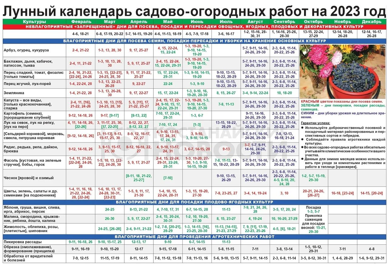 Миркосмоса ру лунный календарь садовода и огородника. Садово-огородный лунный календарь на 2023г. Садовый лунный календарь на 2023 год. Лунный календарь садовода на 2023 год. Посевной календарь таблица.