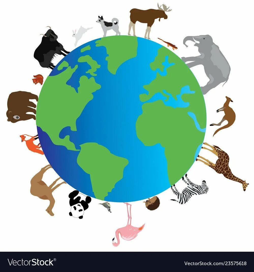 Много животных и растений. Природа и цивилизация. Современная экология. Земля без животных. Меловой период вымирание динозавров.