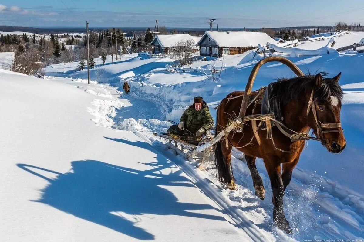 Село лошадка. Деревня зимой. Лошади в деревне. Лошадь с санями. Зима деревня лошадь.