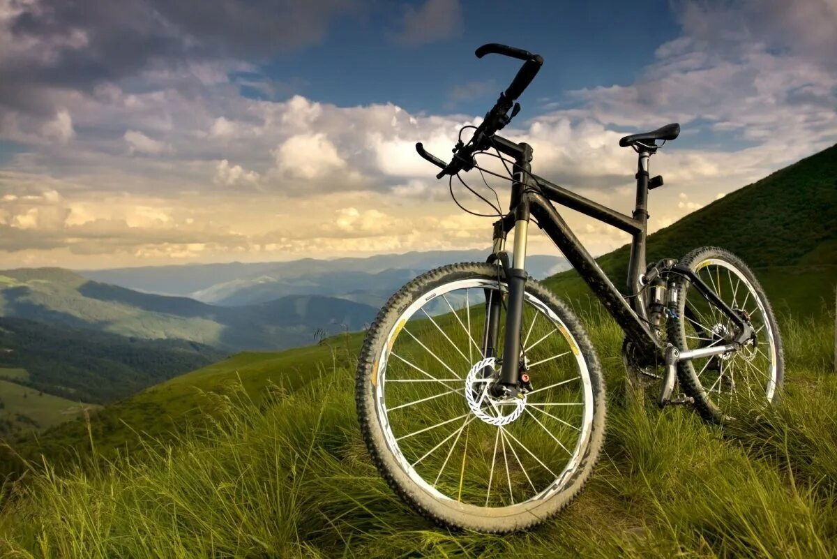 Велосипед монтейн. Картинки горных велосипедов. Мтб велосипед downhill. Картинки горных велосипедов. Картинки горных велосипедов.