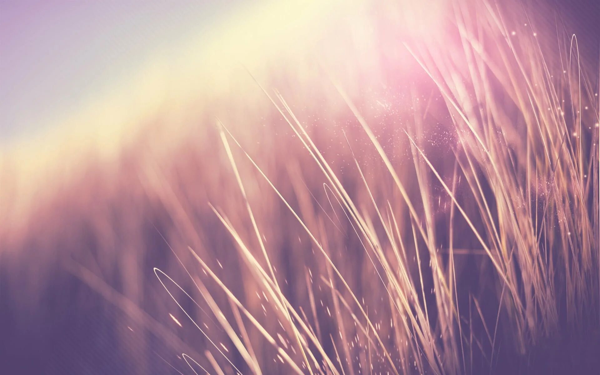 Атмосферный фон. Фоновые картинки. Фон трава боке. Нейтральный фон. Обои на рабочий стол трава.