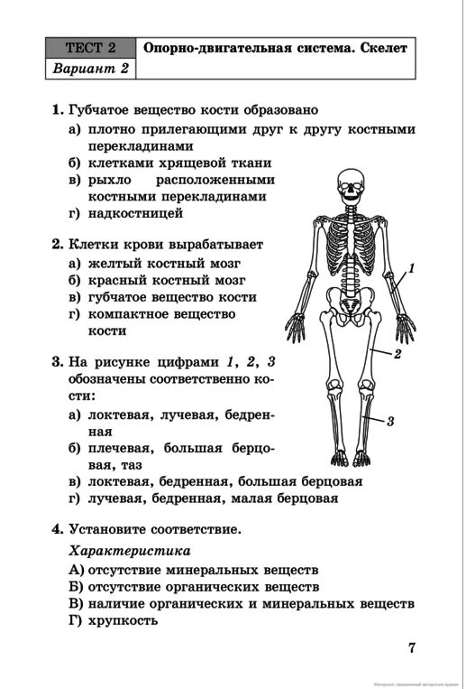 Скелет человека 8 класс биология тест с ответами. Тест по биологии 8 класс опорно-двигательная система скелет. Тест биология 8 класс кости скелета. Тест по биологии 8 класс строение скелета человека с ответами. Ответы по биологии 8