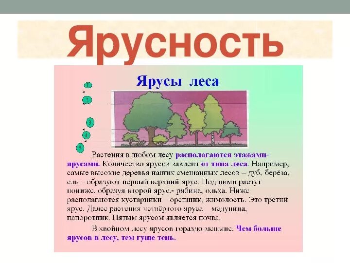 Природное сообщество заключение. Совместная жизнь организмов в природном сообществе. Природное сообщество вывод. Совместная жизнь организмов в природном сообществе 6 класс.