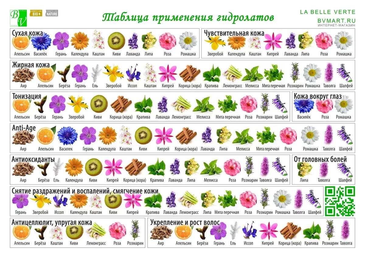 Гидролат мята 50 мл organic. Применение гидролатов. Гидролат цикория. Этикетка гидролатов. Этикетки на гидролаты.