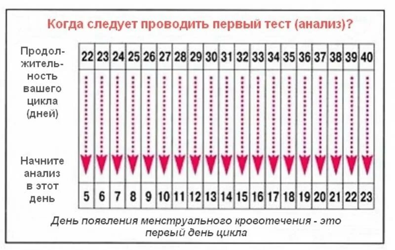 Дата овуляции