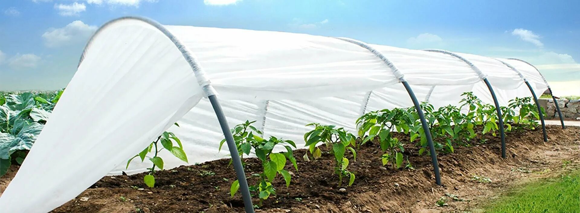 парник "урожайная сотка оптима" 6м (дуга пнд 16мм/2,5м/7шт, укр. спанбонд белый 60 г/м2 3. парник спанбонд. спанбонд агроспан 42. спанбонд плотность для парника.