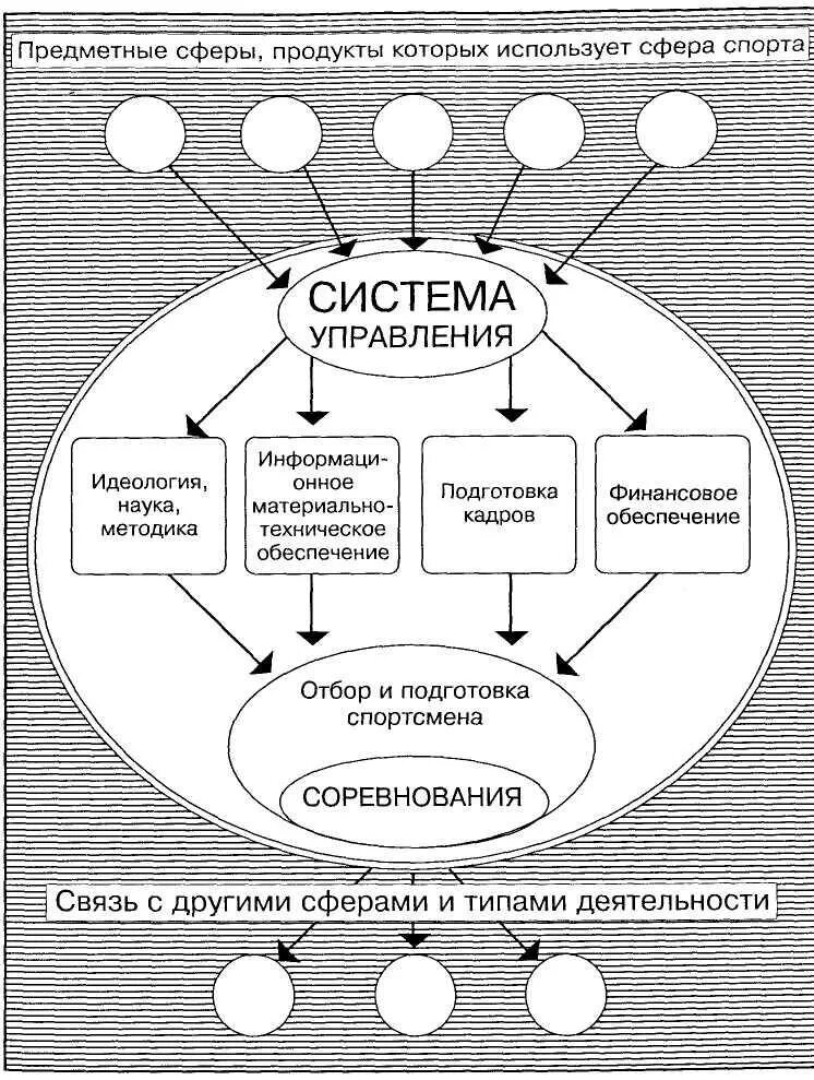 Современное состояние физической культуры и спорта. Основные направления спорта высших достижений и их характеристика. Основные направления спорта высших достижений. Субъекты физкультурно-спортивных услуг. Структура индустрии спорта.