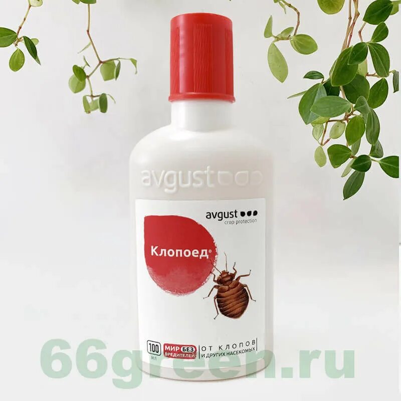 Avgust клопоед от клопов и других насекомых. Клопов 100мл клопоед 100. клопоед 100мл. (флакон) август х16. клопоед 100мл, 1 шт. клопоед от тараканов.