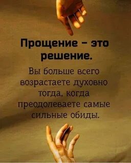 Извиняться без причин