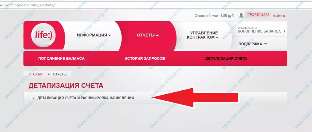 Оператор лайф в беларуси. Лайф оператор номер. короткий номер оператора лайф. оператор лайф номер телефона. номер телефона оператора лайф беларусь.
