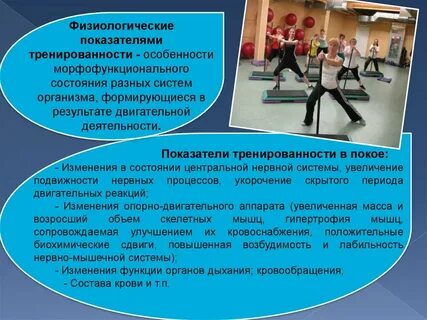 Лабильность нервно мышечного аппарата при росте тренированности