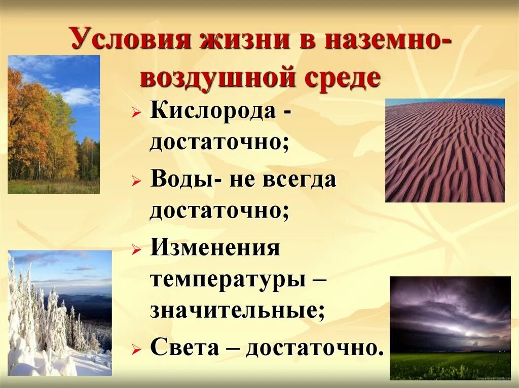 Условия наземно-воздушной среды обитания. Условия жизни в наземно воздушной среде. Земно-воздушно среда жизни. Наземно-воздушная среда обитания условия среды. Наземно воздушная среда обитания сообщение 5 класс