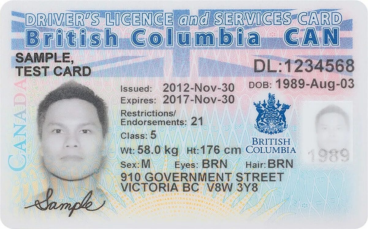 Ids license. ID карта.