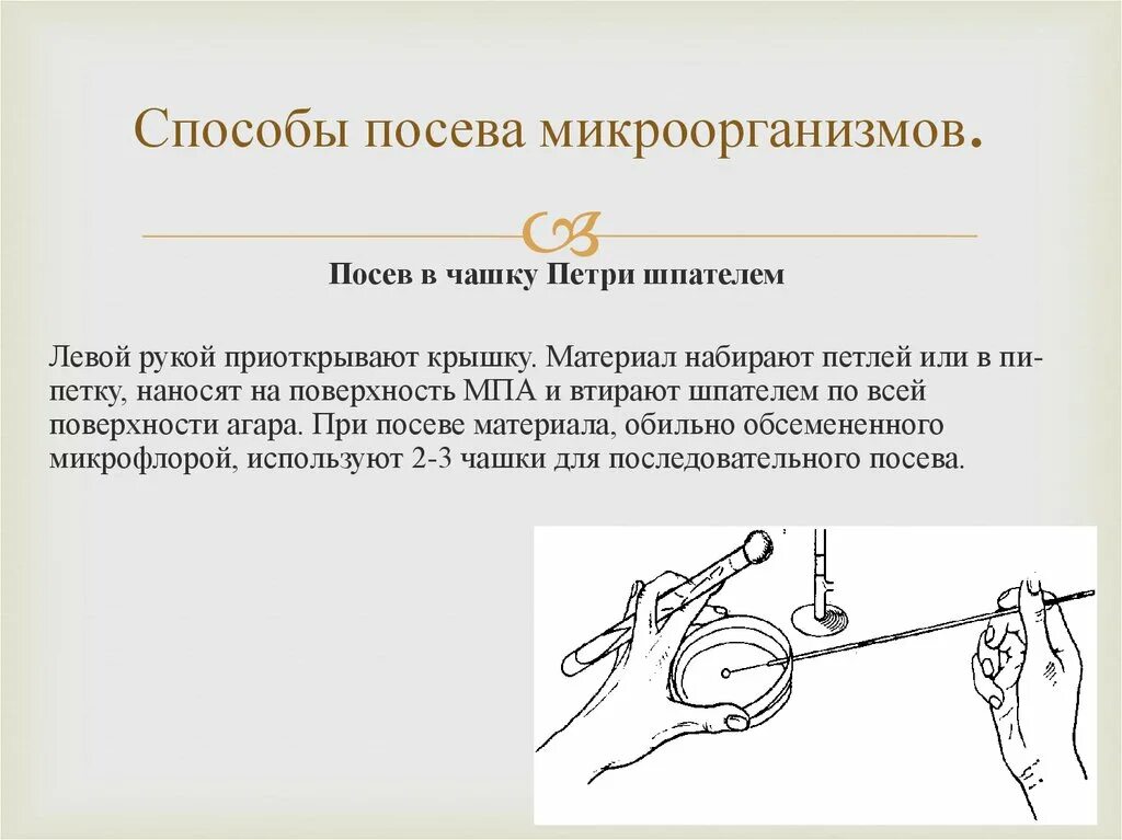 Посев выделяемого из. Схема посева тампон-петля. посев биологического материала на питательные среды. техника посевов и пересевов культур микроорганизмов. метод посева петлей.