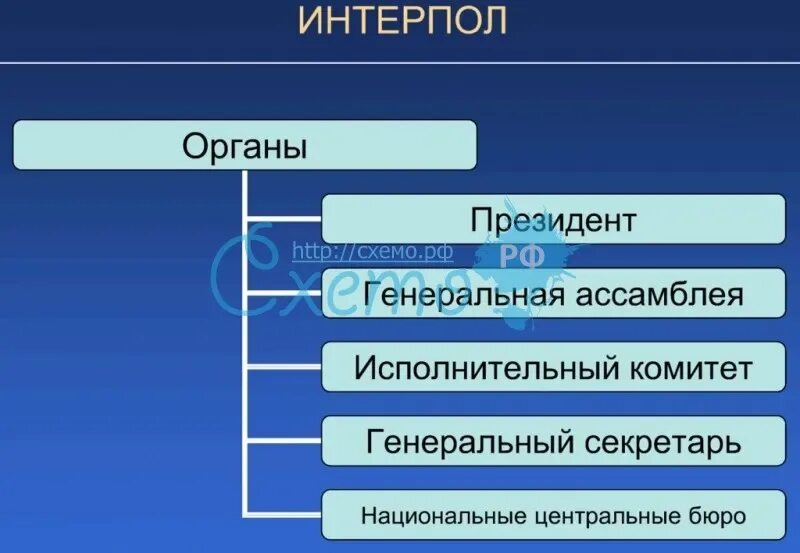 Интерпол структура. Структура интерпола. структура интерпола схема. задачи интерпола. схема функций интерпола.