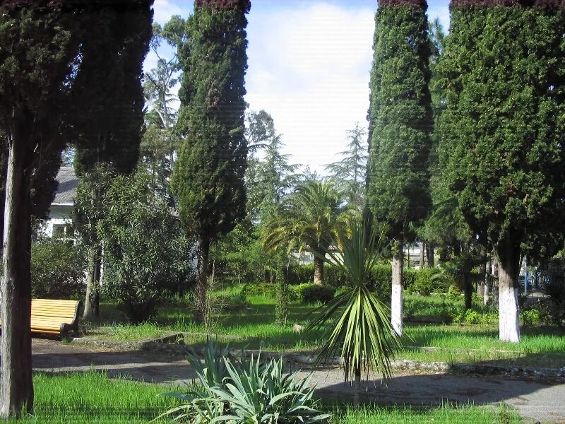 Парк донской табак цандрипш. Эра 2 абхазия гагра. Цандрипш абхазия леселидзе. Цандрипш абхазия. Пляж гантиади абхазия.