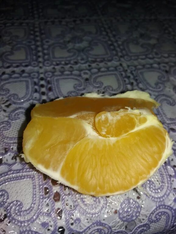 Апельсины при беременности. Велик оранж. Беременная мандаринка. Беременный мандарин. Беременный мандарин.