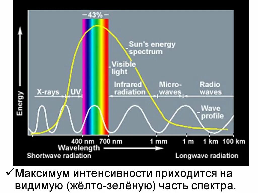 Интенсивность спектра. Максимум интенсивности. Максимум и спектр. Спектральный максимум. Ультрафиолетовую часть спектра видит