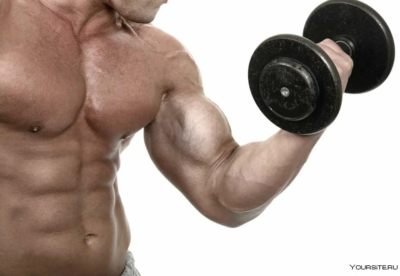 Бицепс руки с гантелями. Рука с гантелей. Biceps curl упражнение. Подъем гантелей попеременно на бицепс с супинацией. Подъем гантелей на бицепс стоя.