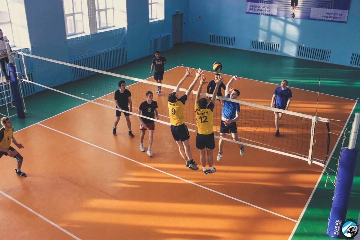 Студенческий спорт относится к спорту. Волейбол юургу челябинск. спорткомплекс юургу волейбольный зал. юургу волейбол. юургу спортивный зал.