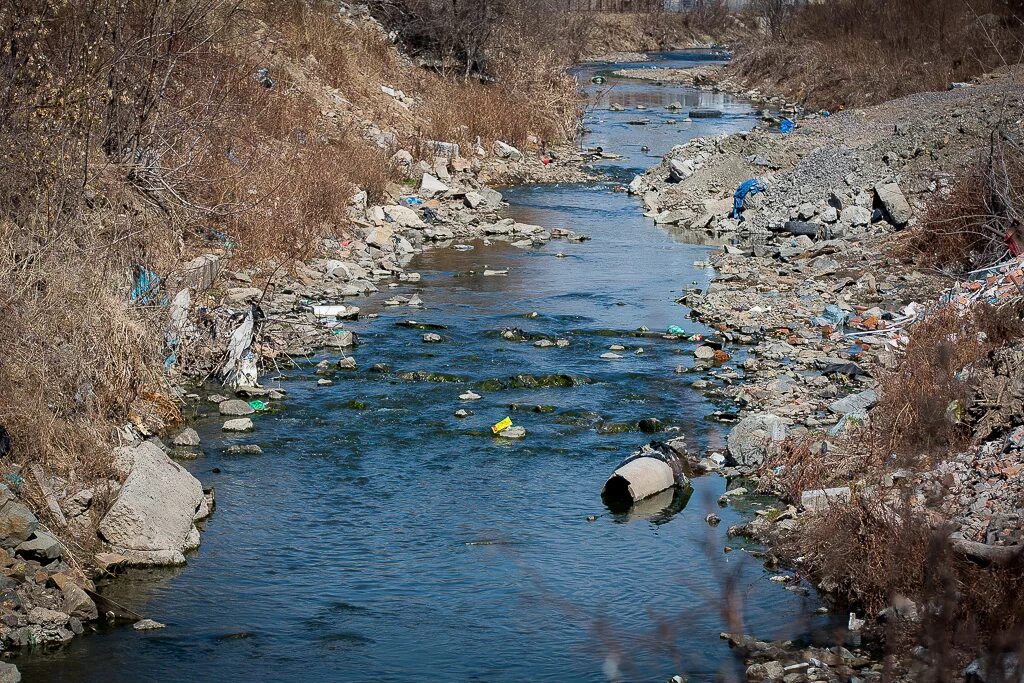 Вода спала в реке. Загрязненное озеро Самур. Загрязненная река Самур. Загрязненный берег реки Нальчик.