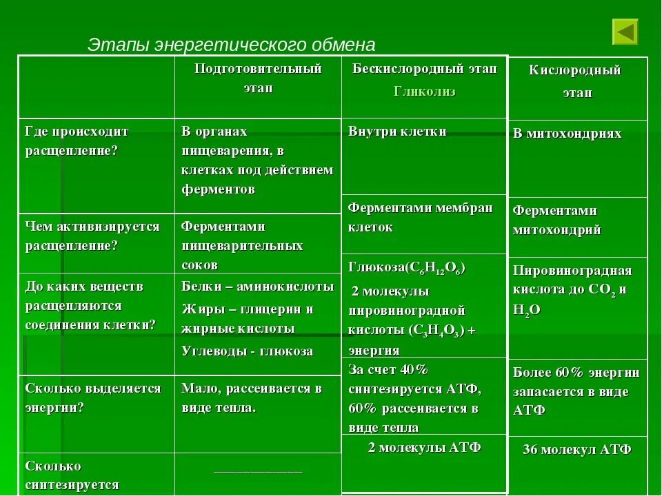 Подготовительный бескислородный кислородный этапы таблица. Бескислородный и кислородный этапы энергетического обмена. Этапы энергетического обмена таблица. Этапы энергетического обмена биология.