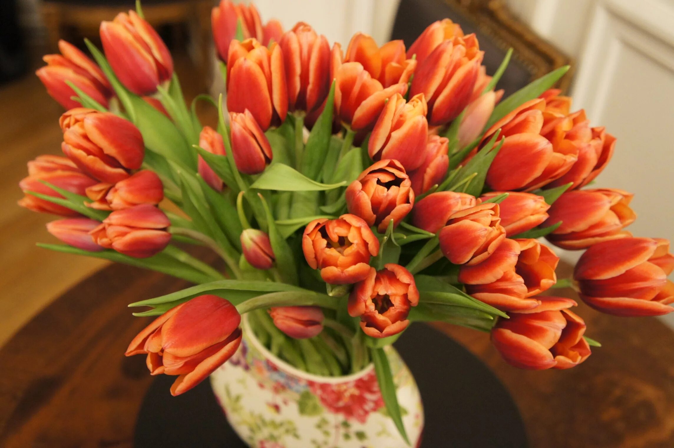 Dome тюльпаны (Tulips) 031003. Тюльпан оранж букет. Пионовидные тюльпаны оранж. Оранж Джус тюльпан букет. Розы можно ставить с тюльпанами