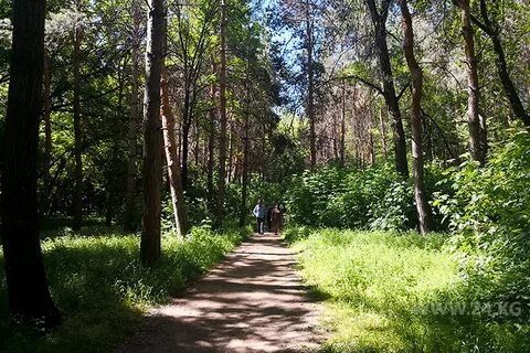 Роща 7
