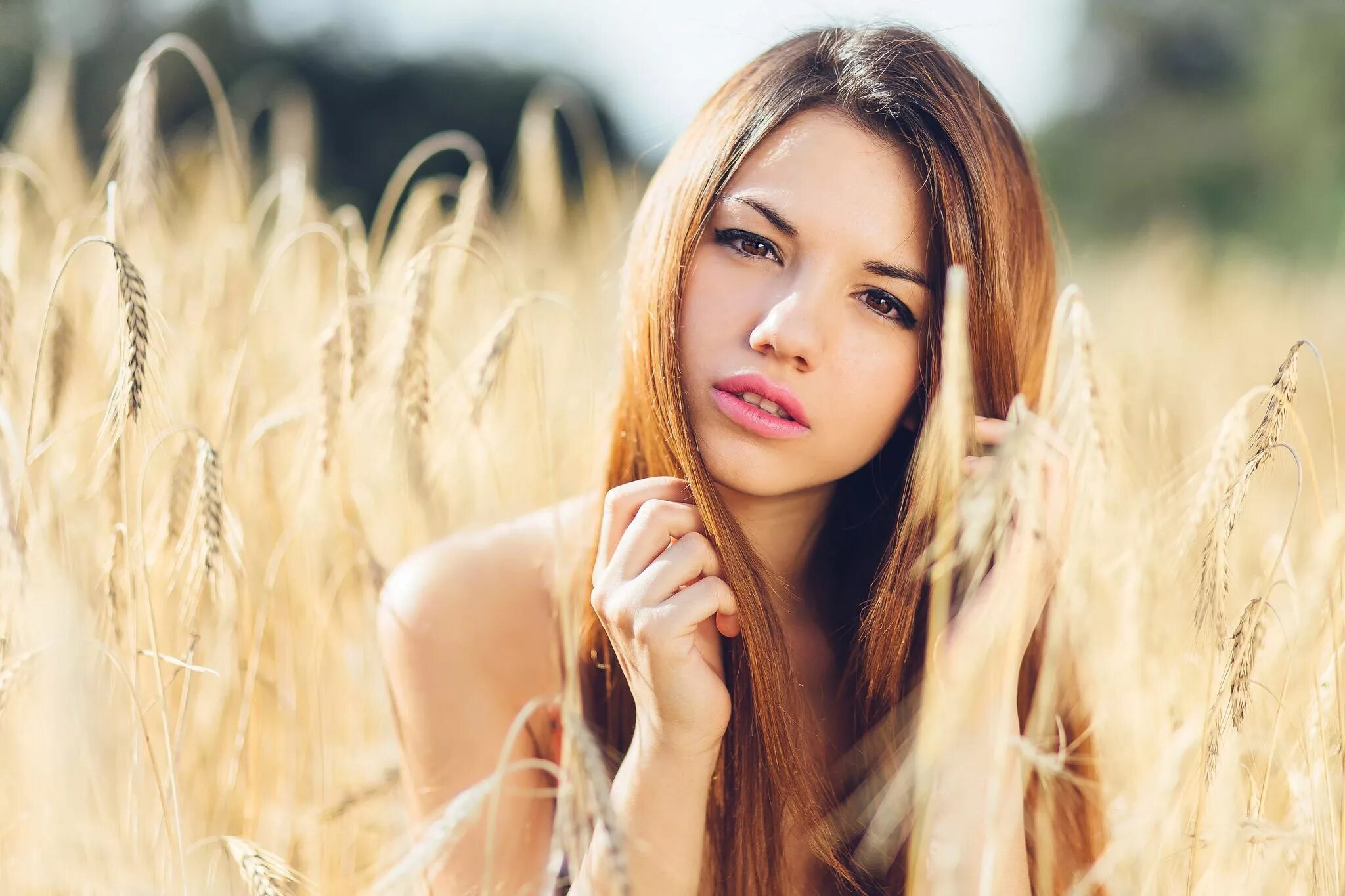Делайя Гонсалес. Delaia Gonzalez модель. Девушка в пшеничном поле.