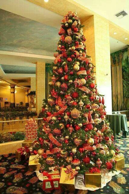 Pin by Pinner on christmas season. Christmas tree, Cool christmas trees, Creativ