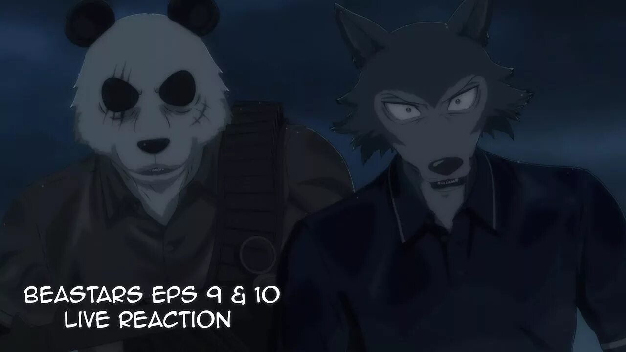 Выдающиеся звери дата серий. Гоухин бистарс. beastars риз. гохин выдающиеся звери. риз бистарс медведь.