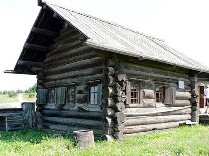Из какого дерева строили избы на руси