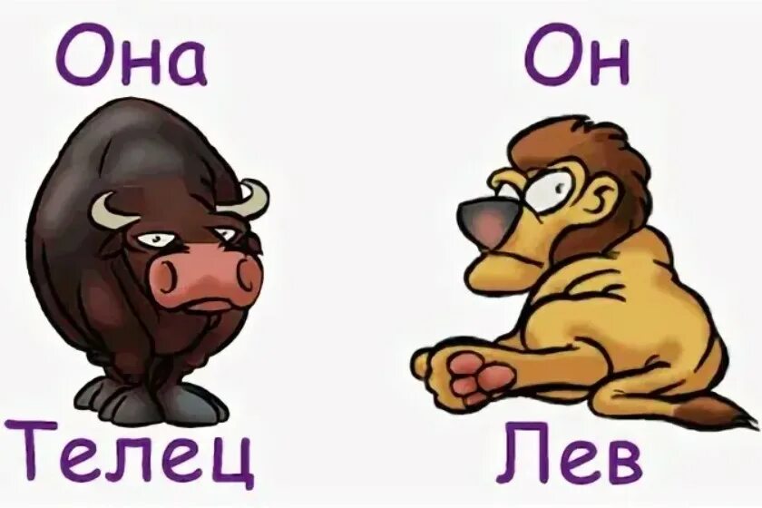 Лев лев совместимость в постели. Телец и лев. совместимость знаков зодиака лев и телец. знак зодиака лев и телец. знаки зодиака лев и телец совместимость.
